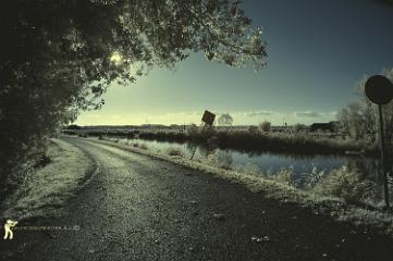 DSC2305 1