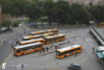 P.Roma Park