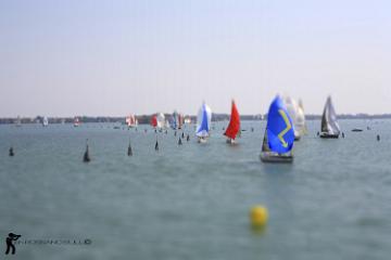 Regata
